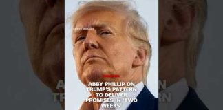 A look at Trump's plans to deliver promises in 'two weeks'