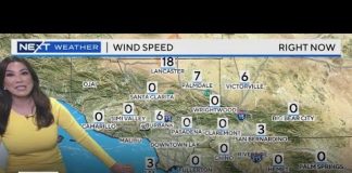 Amber Lee's Morning Weather (June 2)