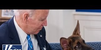 Biden 'repeatedly watched' dog Commander attack Secret Service: Report