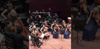 Cat joins orchestra on stage