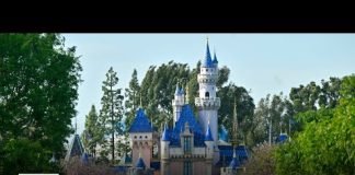 Disney cast members accuse theme park of unfair labor practices over union button rule