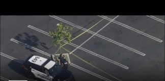 Downey police close shopping center parking lot after apparent shooting