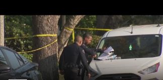 Elderly woman stabbed to death in her South Pasadena home