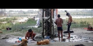 Extreme temperatures in India lead to deaths among humans and animals