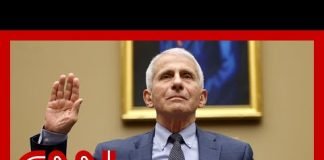 Fauci says he never used personal email for business purposes