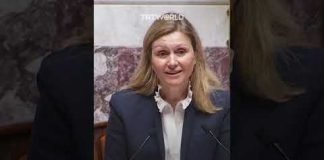 French MPs with Palestinian colours and flag cause tumult in parliament