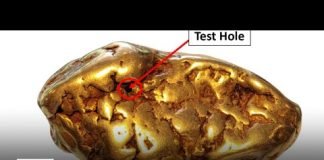 Gold nugget worth more than $80k stolen from Long Beach collectibles show