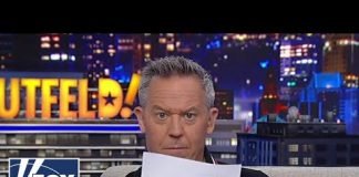 ‘Gutfeld!’ answers audience questions