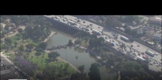 Hollenbeck Park | Look At This!