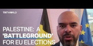 How Palestine affects the EU elections