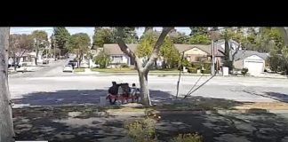 Investigation underway after robbery at Long Beach bus stop is caught on camera