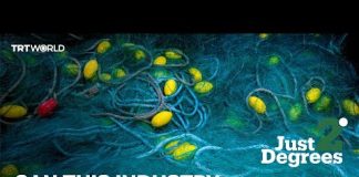 Just 2 Degrees: Can this destructive industry really be sustainable?