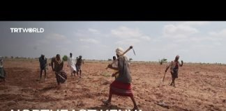 Kenyan communities try to combat water shortage