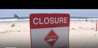 Man recounts moments he helped save shark attack victim in Del Mar