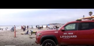 Man seriously injured after shark attack at San Diego beach