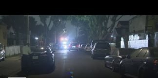 Man shot to death in South LA