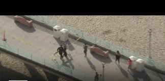 Manhattan Beach pier forced to close temporarily for large swarm of bees