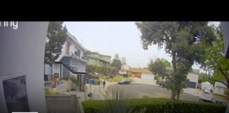 Mar Vista neighborhood on edge after series of coyote attacks