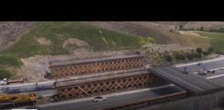 Mountain lion found dead on 101 Freeway near spot of wildlife crossing construction