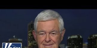 Newt Gingrich: This new Biden campaign push is 'childish'