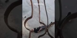 Palestinian man shot dead by Israeli forces in Kafr Dan village raid