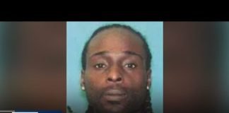 Police search for two men who punched elderly woman unconscious at LAX