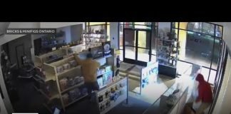 Search continues for thieves targeting Southern California Lego resale stores