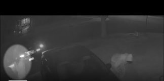 Security camera catches catalytic converter thieves in Gardena driveway