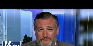 Ted Cruz: Democrats are 'laying out the red carpet' for terrorists