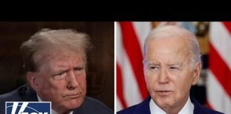 This could decide the 2024 election: Democratic pollster