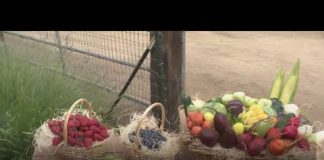 Underwood Family Farms | SoCal Spotlight