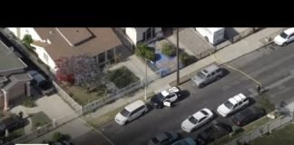 Woman hospitalized after shooting in South LA